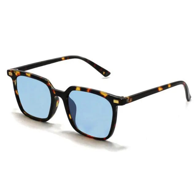 Clays_BlueTortoise-1000x1000-2-636x636-1.webp