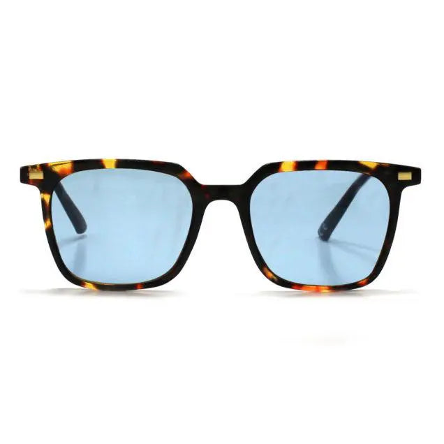 Clays_BlueTortoise2-636x636-1.webp